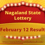 Nagaland State Lottery Sambad Result Todat 12-02-2024
